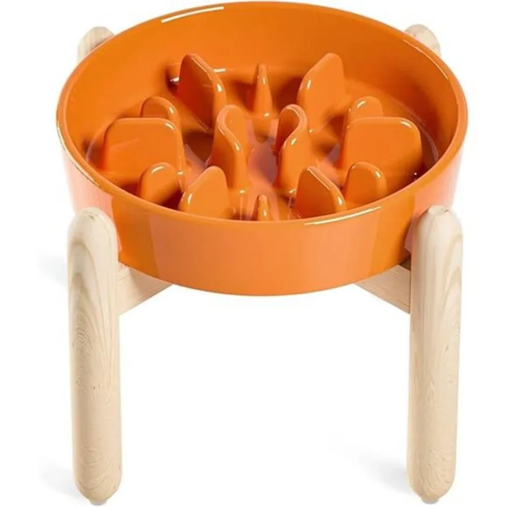 Ceramic Slow Feeder Dog Bowls Elevated for Small and Medium Breed, Dog Bowls